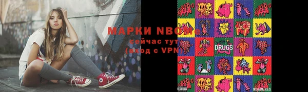 прущий лед Инсар