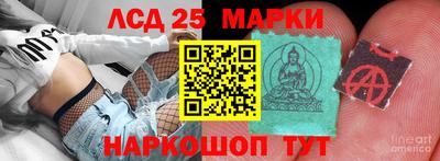 ПСИЛОЦИБИНОВЫЕ ГРИБЫ Коммунар