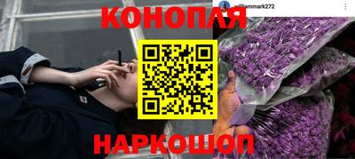 ПСИЛОЦИБИНОВЫЕ ГРИБЫ Коммунар