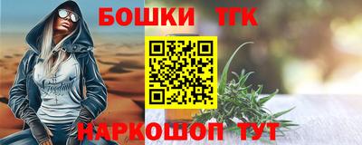 СК Волгодонск