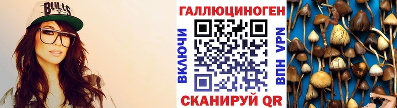 Галлюциногенные грибы мицелий  хочу наркоту  Черногорск 