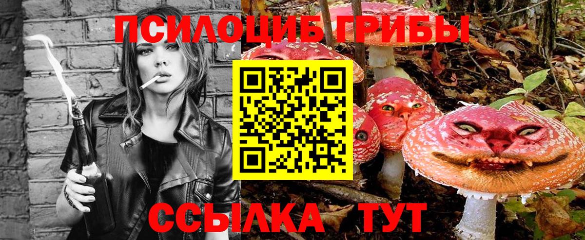 Галлюциногенные грибы Psilocybine cubensis Черногорск