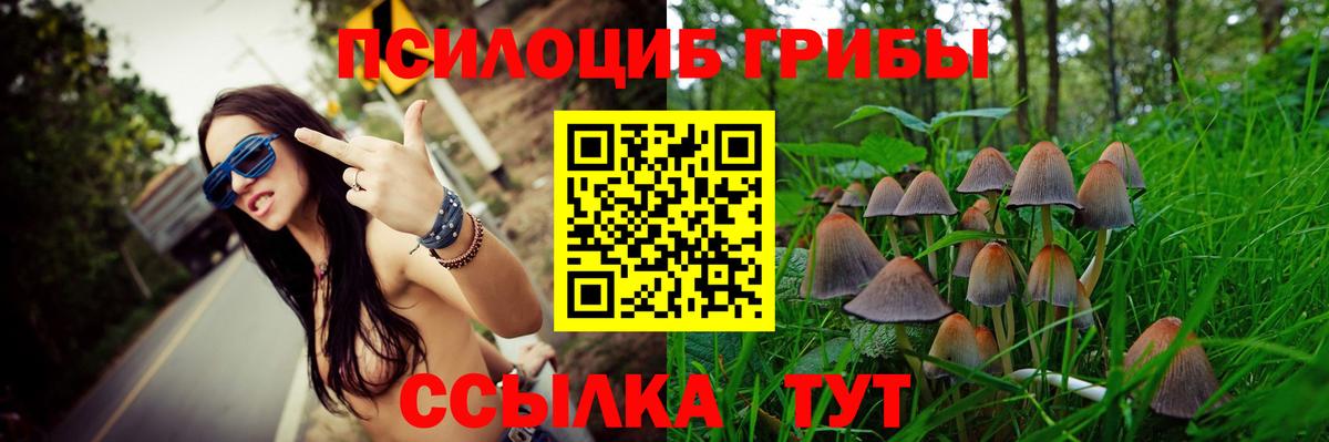 Галлюциногенные грибы мицелий Черногорск