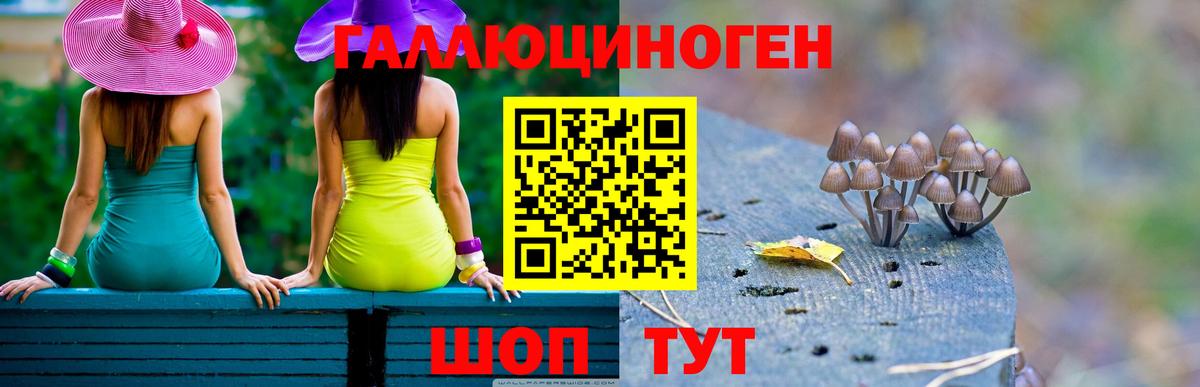 Галлюциногенные грибы Psilocybine cubensis  Вход с VPN  Черногорск 