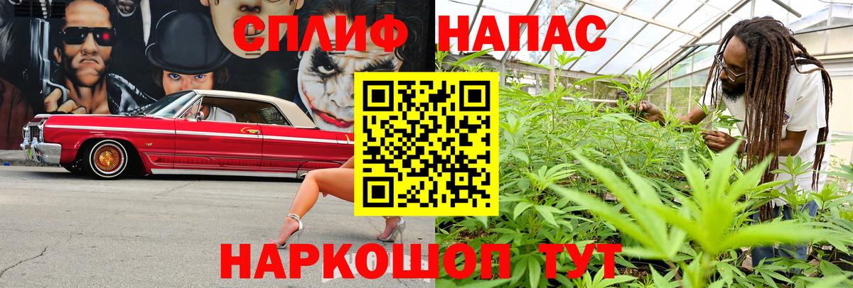 МАРИХУАНА конопля Черногорск